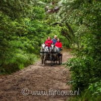 Hunerit Havelte Farcows wagen