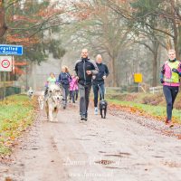 iRunDog workshop 2017