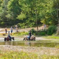 Hunerit Havelte 2018