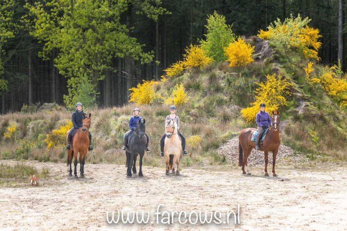 eexter ossenrit 2019 groepsfoto