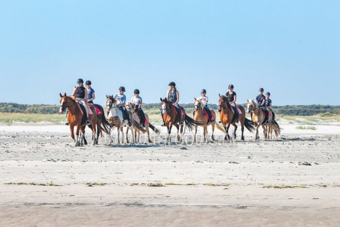 Strandrit op Ameland