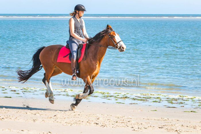 Strandrit op Ameland