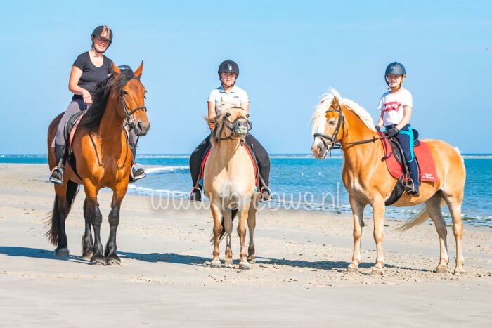 Strandrit op Ameland