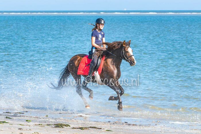 Strandrit op Ameland