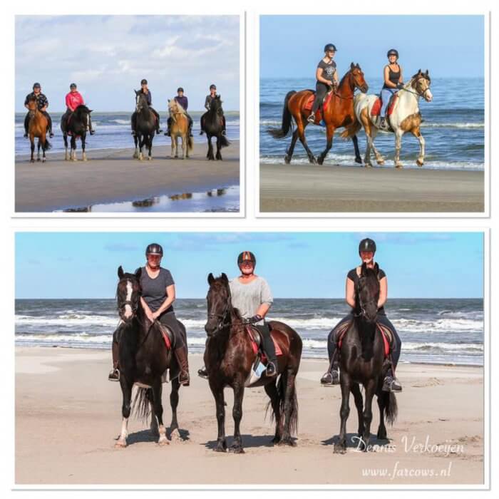 Fotograferen strandrit op Ameland