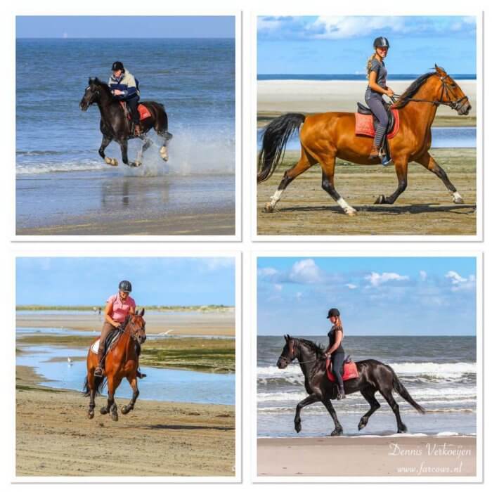 Strandrit op Ameland