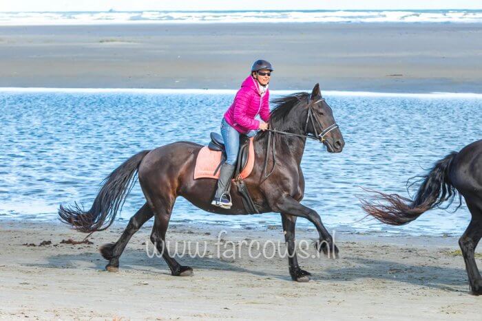 strandrit ameland 19 september