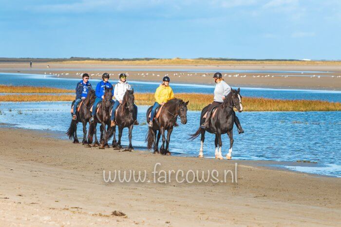 strandrit ameland 19 september