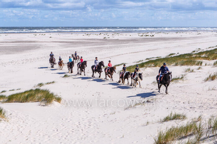 Molenruiters Strandrit 2022 groep