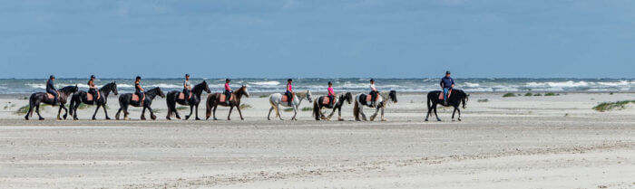 molenruiters strandrit ameland 2022 banner